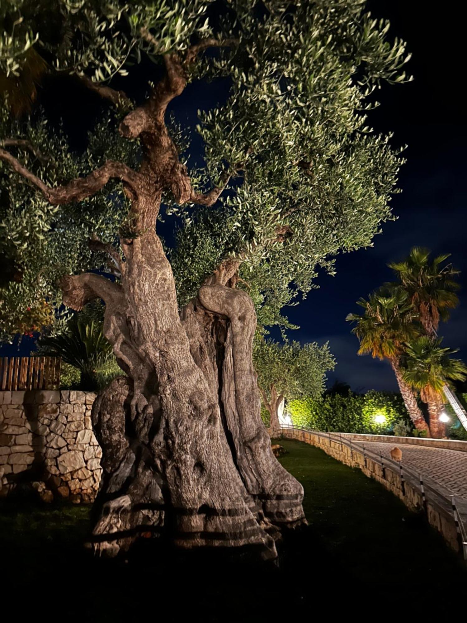 Alla Villa Di Angelo Monopoli Dış mekan fotoğraf