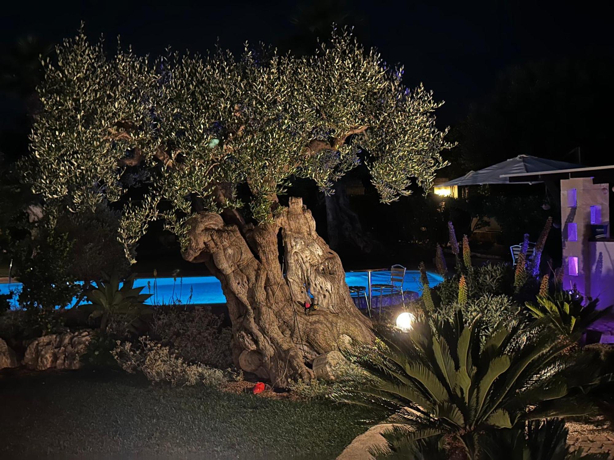 Alla Villa Di Angelo Monopoli Oda fotoğraf